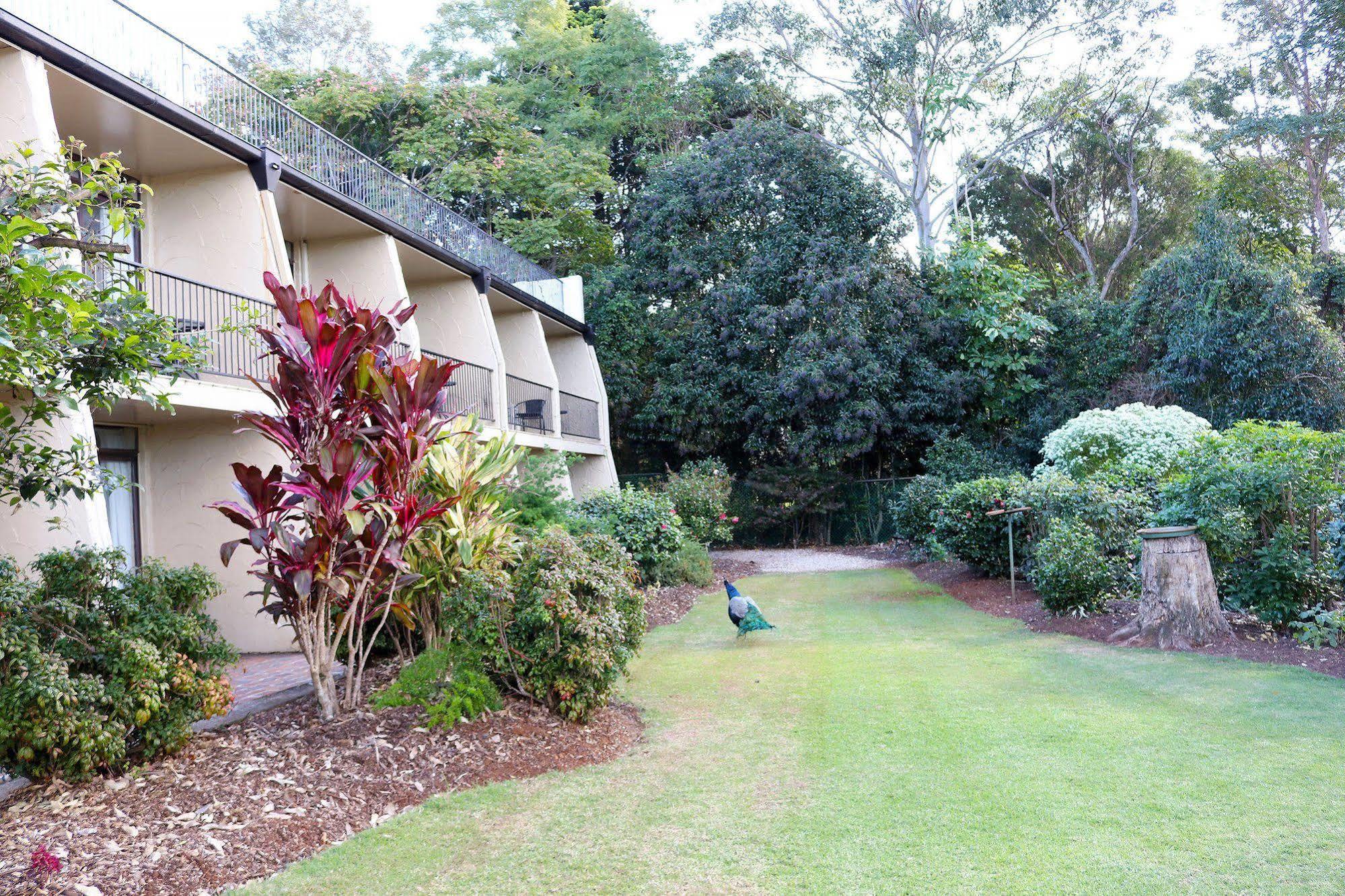 The Tamborine - Boutique Hotel Mount Tamborine Exterior photo